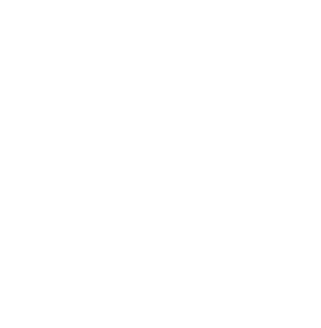 pro logo / logo pro